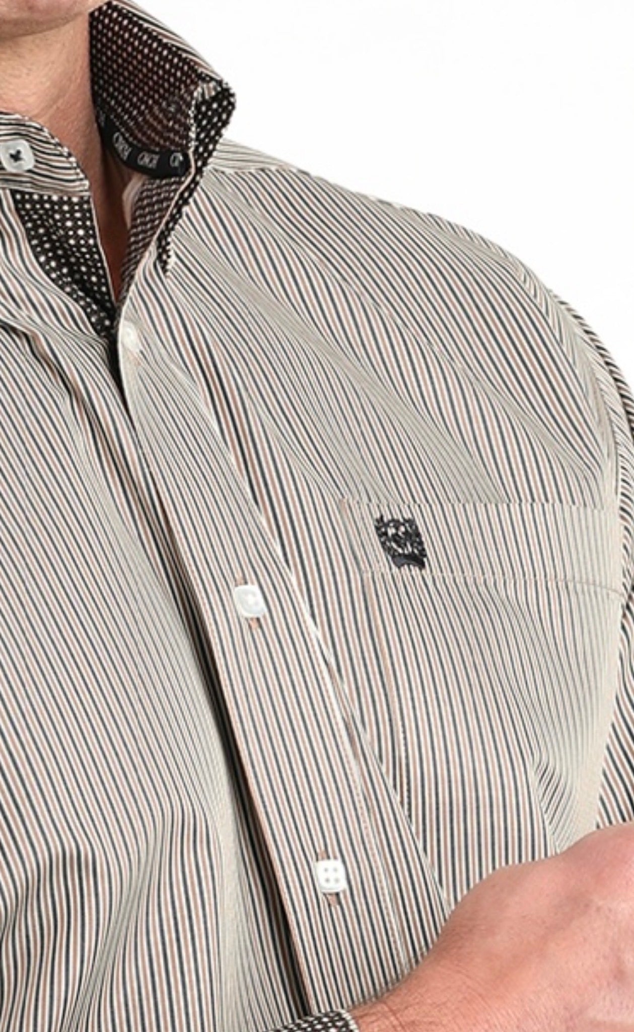 Cinch Tencel Longsleeved Shirt-Brown Stripe