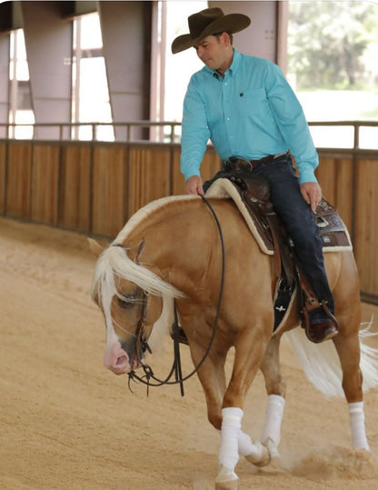 Cinch Cotton Longsleeved Shirt-Light Turquoise